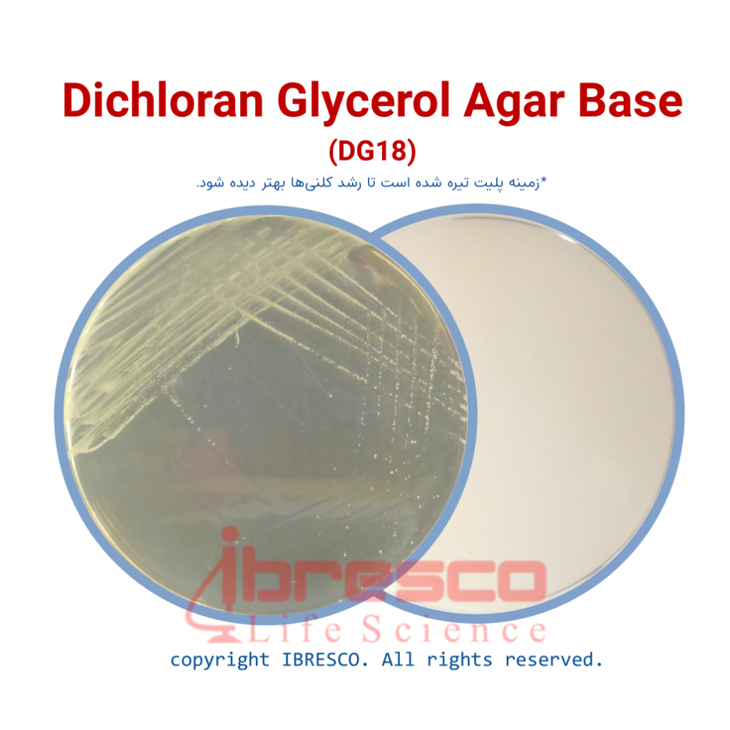 Dichloran Glycerol Dg Agar Base