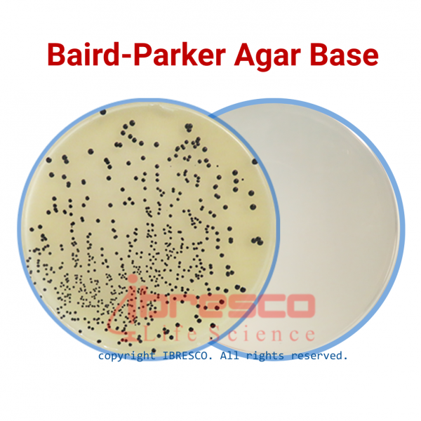 Baird Parker Agar Base Ibresco