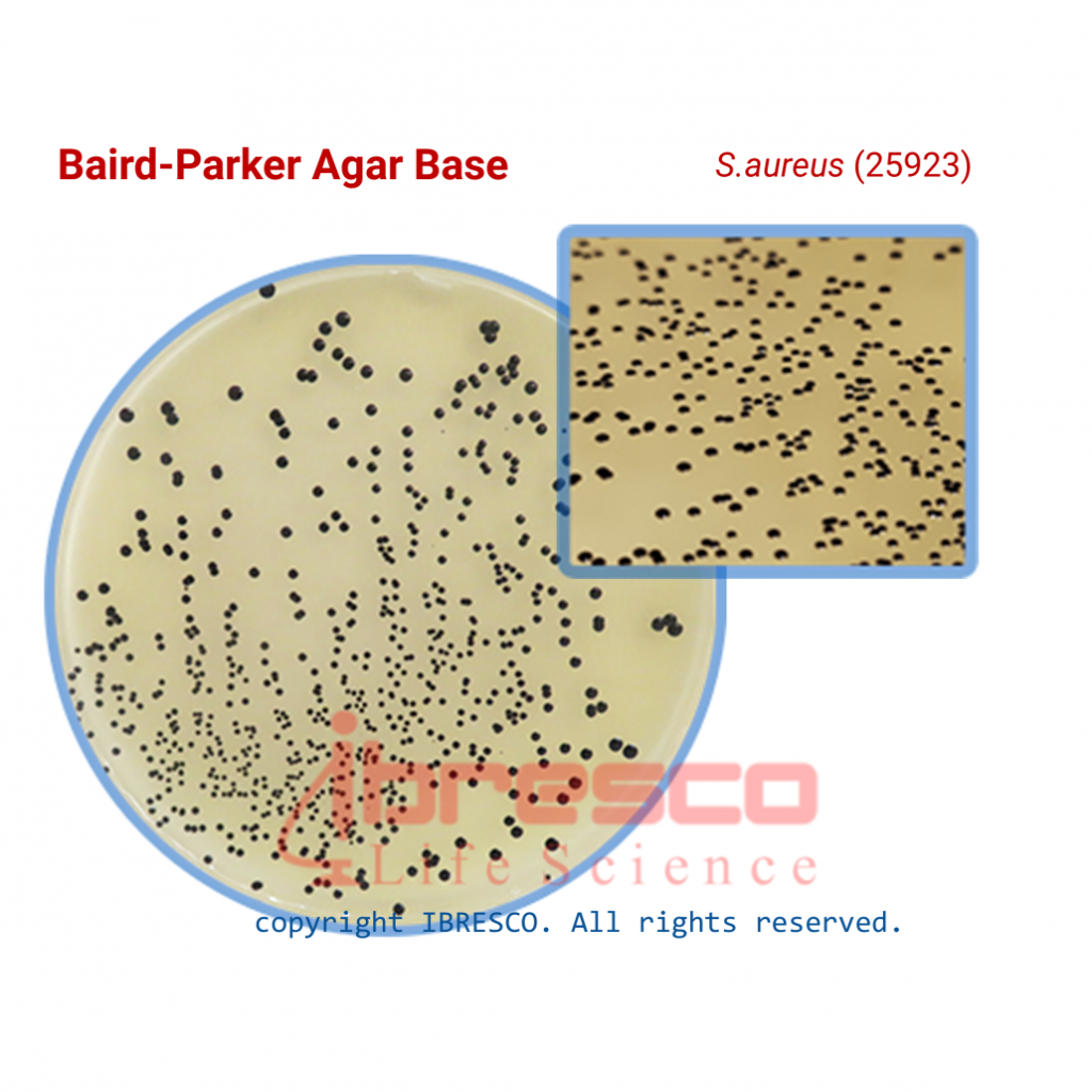 Baird Parker Agar Base