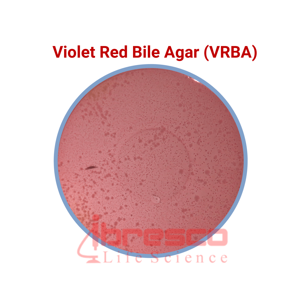 Violet Red Bile Agar VRBA ویولت رد بایل آگار ایبرسکو