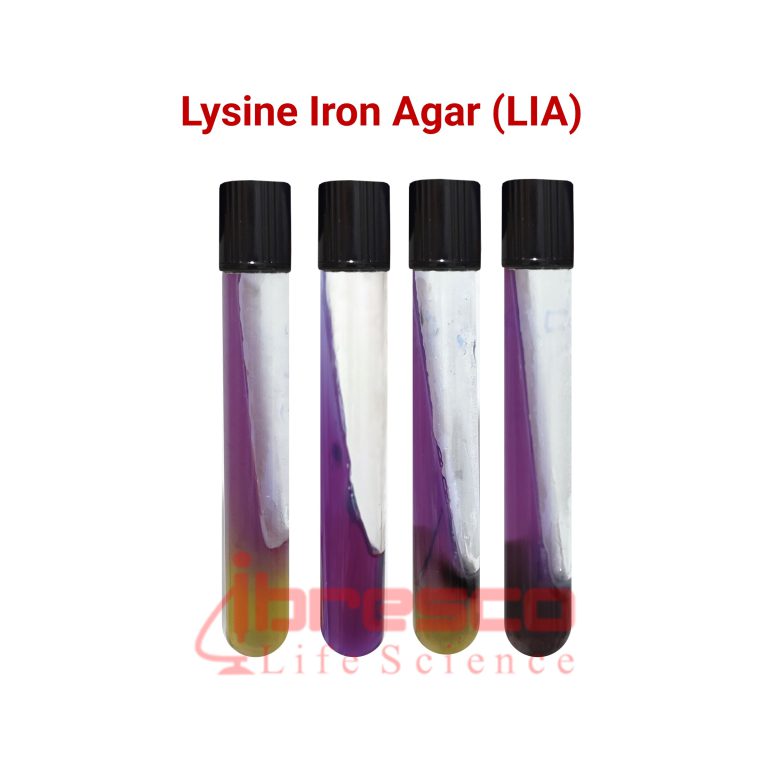 Lysine Iron Agar LIA لایزین آیرون آگار ایبرسکو