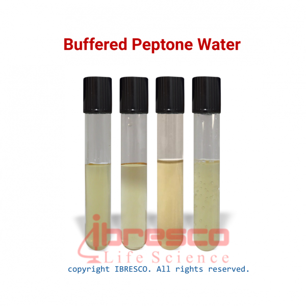 Buffered Peptone Water (BPW) | آب پپتون بافری | ایبرسکو