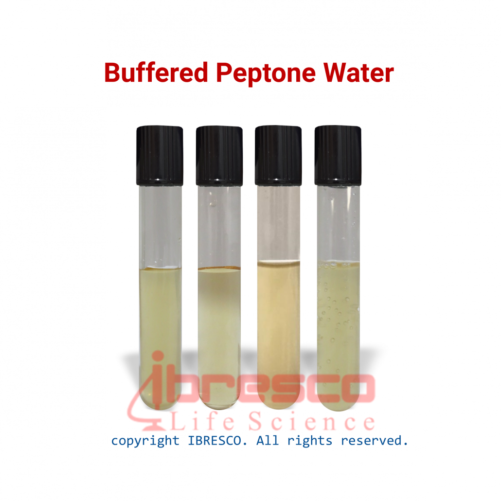 Buffered Peptone Water (BPW) | آب پپتون بافری | ایبرسکو