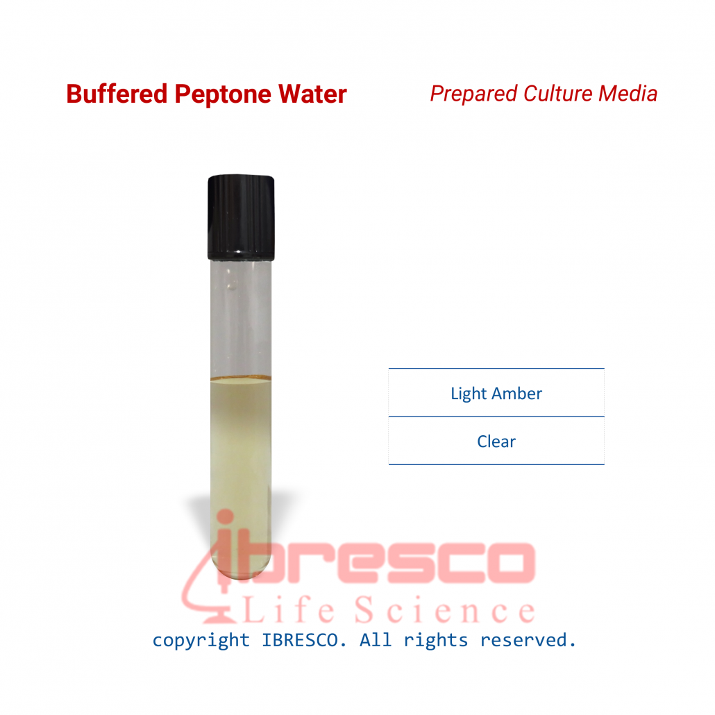 Buffered Peptone Water (BPW) | آب پپتون بافری | ایبرسکو