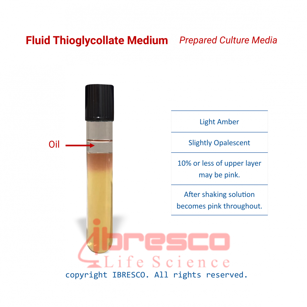 Fluid Thioglycollate Medium | محیط فلوئید تیوگلیکولات | ایبرسکو