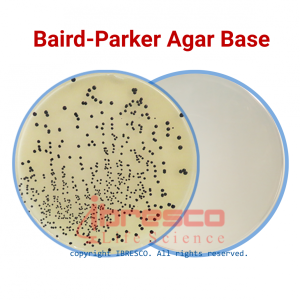 baird-parker-1030x1030-1.png