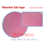 Mannitol Salt Agar-S.epidermidis