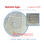 Nutrient Agar-paeruginosa