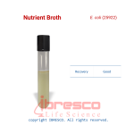 Nutrient Broth-E. coli (25922)