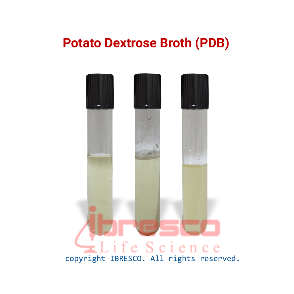 Potato Dextrose Broth (PDB) پوتیتو دکستروز براث ibresco