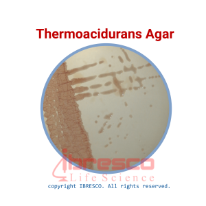 Thermoacidurans agar