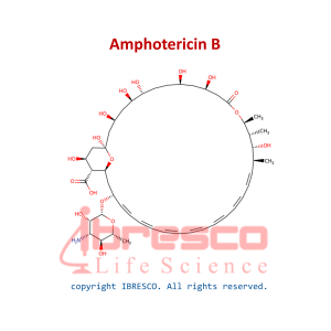 AmphotericinB-ibresco