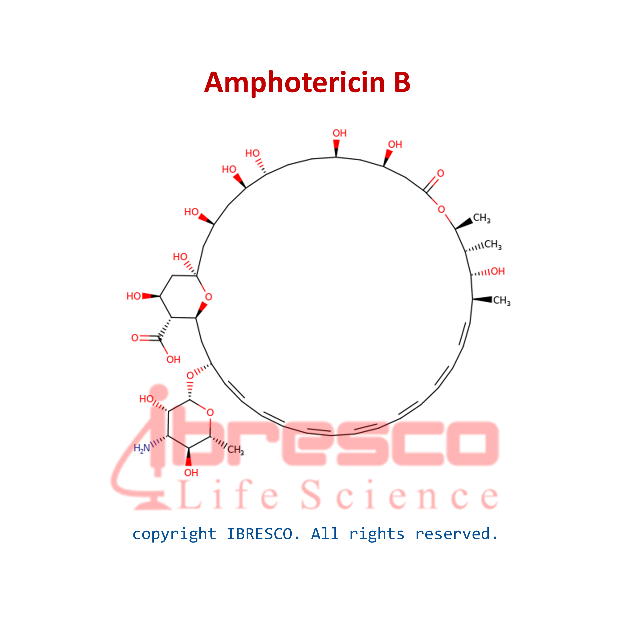 Amphotericin B | آمفوتریسین بی | ایبرسکو