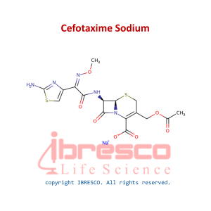 Cefotaxime Sodium-ibresco