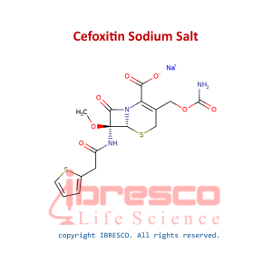 Cefoxitin Sodium Salt-ibresco