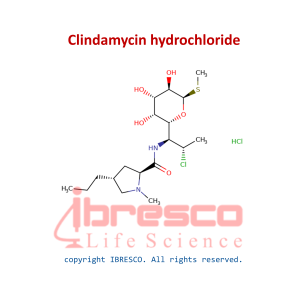 Clindamycin hydrochloride-ibresco