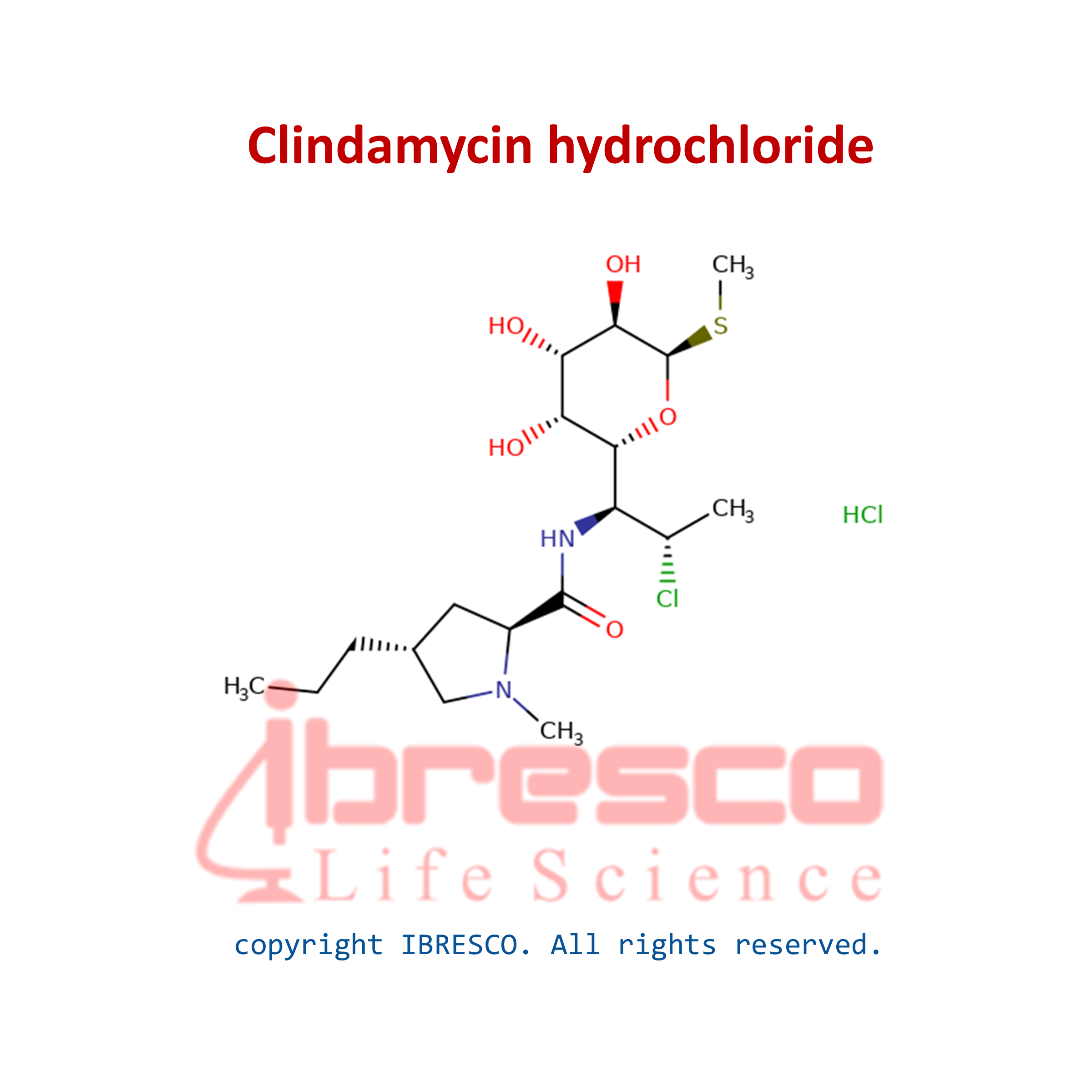 Clindamycin Hydrochloride | کلیندامایسین هیدروکلرید | ایبرسکو