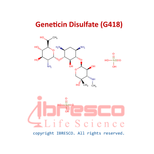 Geneticin Disulfate (G418)-ibresco