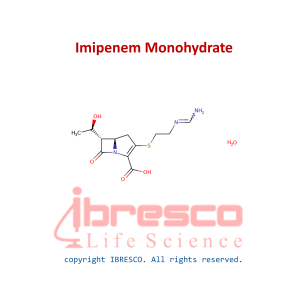 Imipenem Monohydrate-ibresco