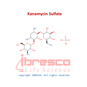 Kanamycin Sulfate-ibresco
