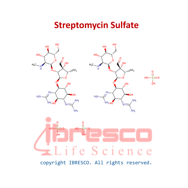 Streptomycin Sulfate | استرپتومایسین سولفات | ایبرسکو