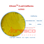 03-iChromTM E.coli-Coliforms-Coliforms-ibresco