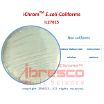 03-iChromTM E.coli-Coliforms-Non coliforms