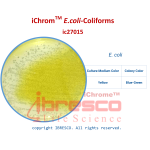 03-iChromTM E.coli-Coliforms-E. coli