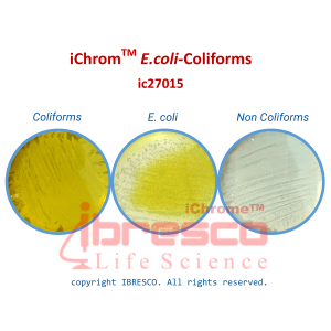 03-iChromTM E.coli-Coliforms-ibresco