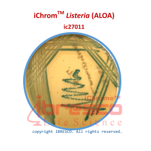 07-iChromTM Listeria (ALOA)