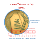 08-iChromTM Listeria (ALOA)