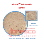 10-iChromTM Salmonella-Salmonella