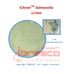 11-iChromTM Salmonella-E.coli