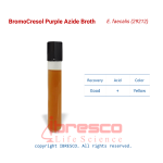 BC purple-E. faecalis (29212)-ibresco