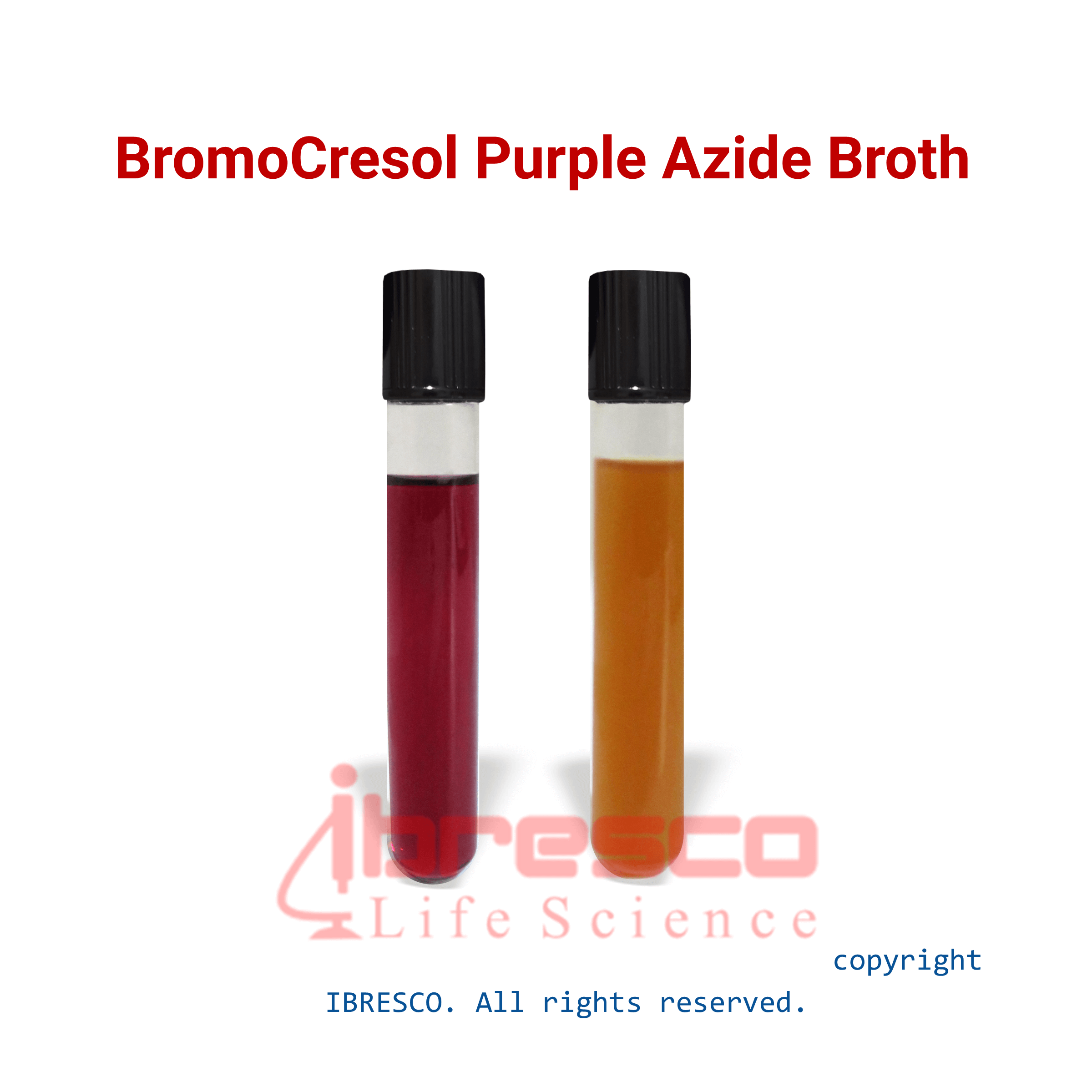 BromoCresol Purple Azide Broth-ibresco