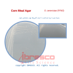 Corn meal-S. cerevisiae (9763)-ibresco