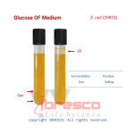Glucose OF-E. coli (25922)-ibresco