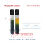 Glucose OF-P. aeruginosa (27853)-ibresco