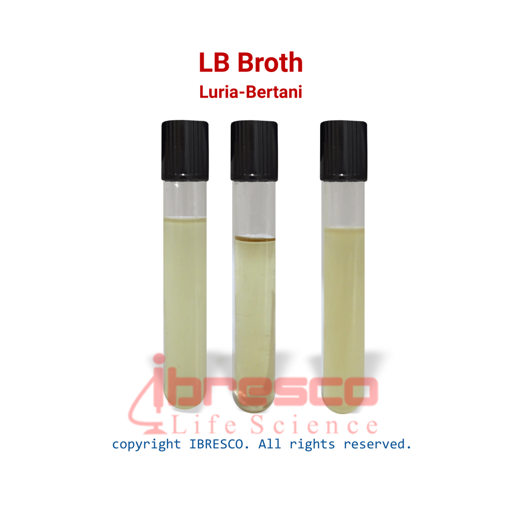 LB Broth 
