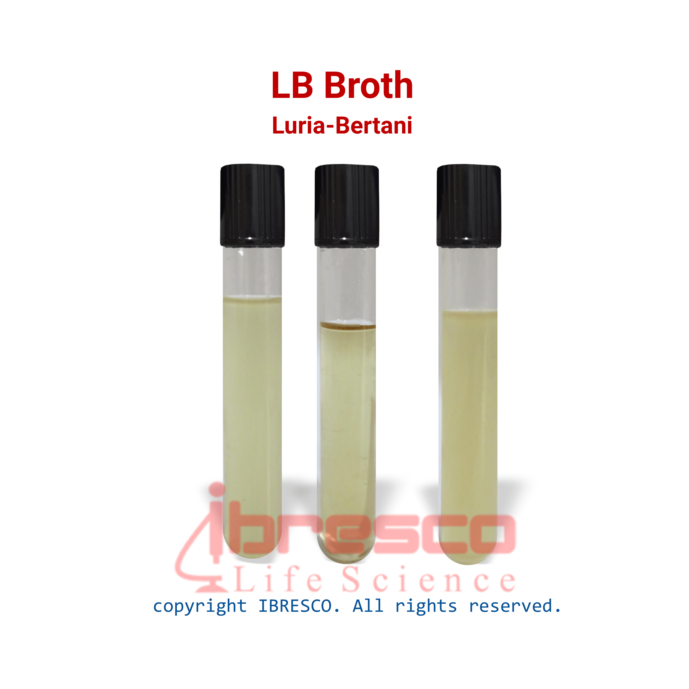 LB Broth-ibresco