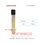 Lactose Broth-E. coli (25922)-ibresco