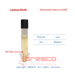 Lactose Broth-Salmonella enterica (6539)-ibresco