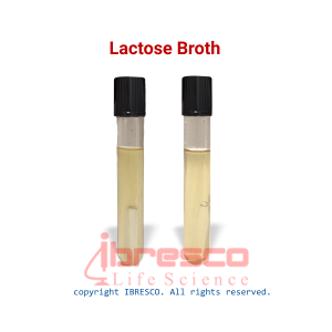 Lactose Broth-ibresco