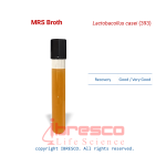 MRS broth-Lactobacollus casei (393)-ibresco