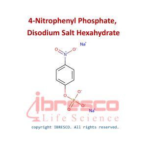 4-Nitrophenyl Phosphate,