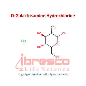 D-Galactosamine Hydrochloride