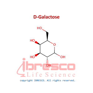 D-Galactose