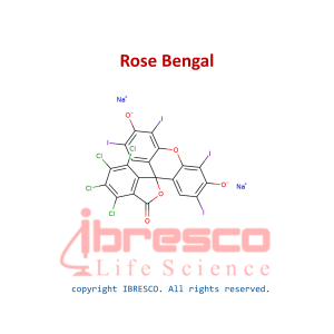 Rose Bengal