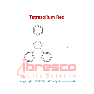 Tetrazolium Red