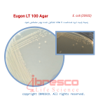 EugonLT100 Agar-E. coli (25922)
